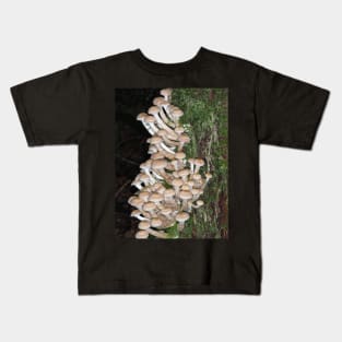 Lots of honey mushrooms (Armillaria sp.) Kids T-Shirt